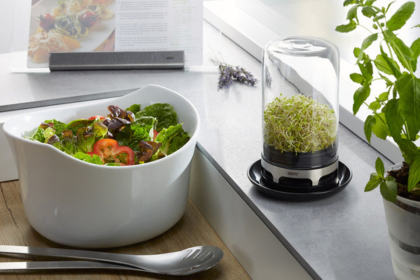 Gefu Sprouting Jar BIVITA - 2