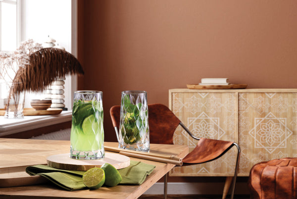 Pasabahce Leafy Hiball Tumbler 450ml - 2