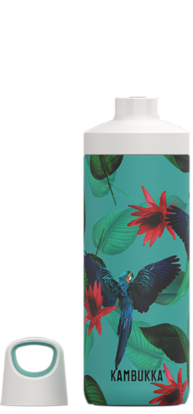 Kambukka Reno Insulated Bottle Parrots - 500ml - 1
