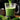 How Vitamix Has Transformed Kitchen Experiences