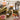 Cocktail Sets