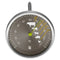 Meat Thermometer