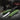 Victorinox Paring Knife