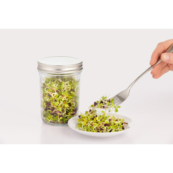 Kilner Sprouting Set, 350ml - 3