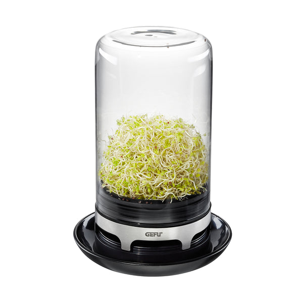 Gefu Sprouting Jar BIVITA - 3