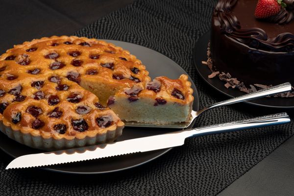 Splayd Cake Knife & Cake Server Set/2 - 2