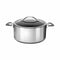 Stainless Steel Dutch Oven