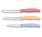 Victorinox